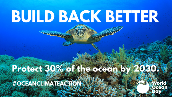 Sea turtle swimming over a coral reef towards the viewer. Text reads: Build Back Better; Protect 30% of the ocean by 2030; #oceanclimateaction; World Ocean Day