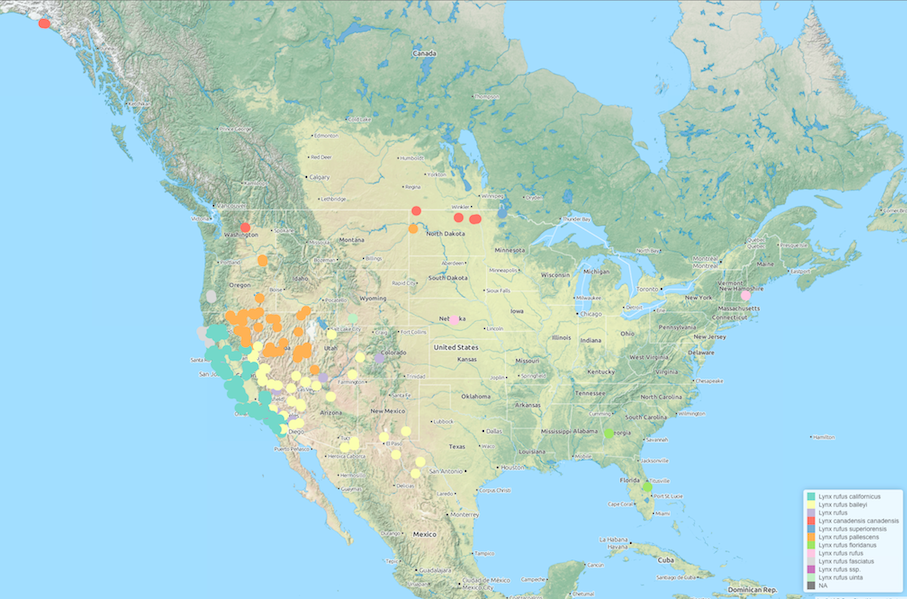 Map of Lynx observations across North America