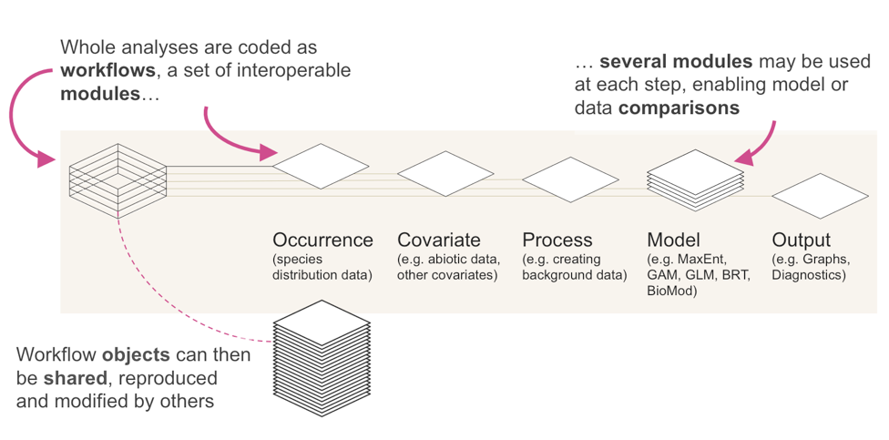 Zoon workflow