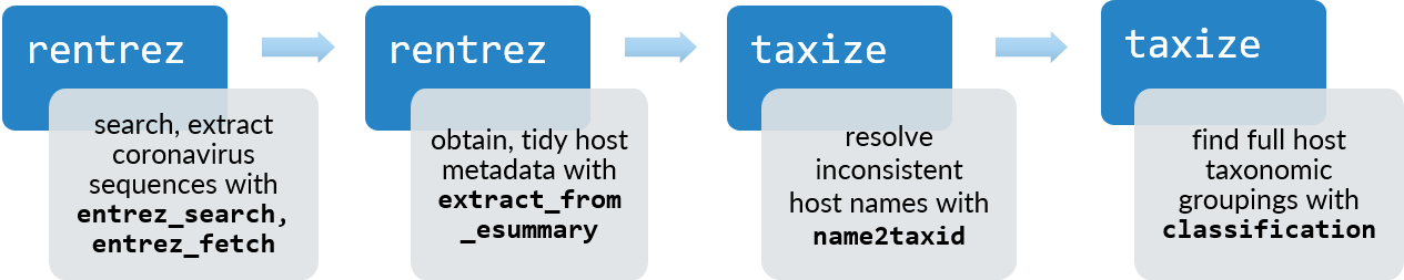 Flow diagram showing functions entrez_search(), entrez_fetch() and extract_from_esummary() from package rentrez, and name2taxid() and classification() from taxize.