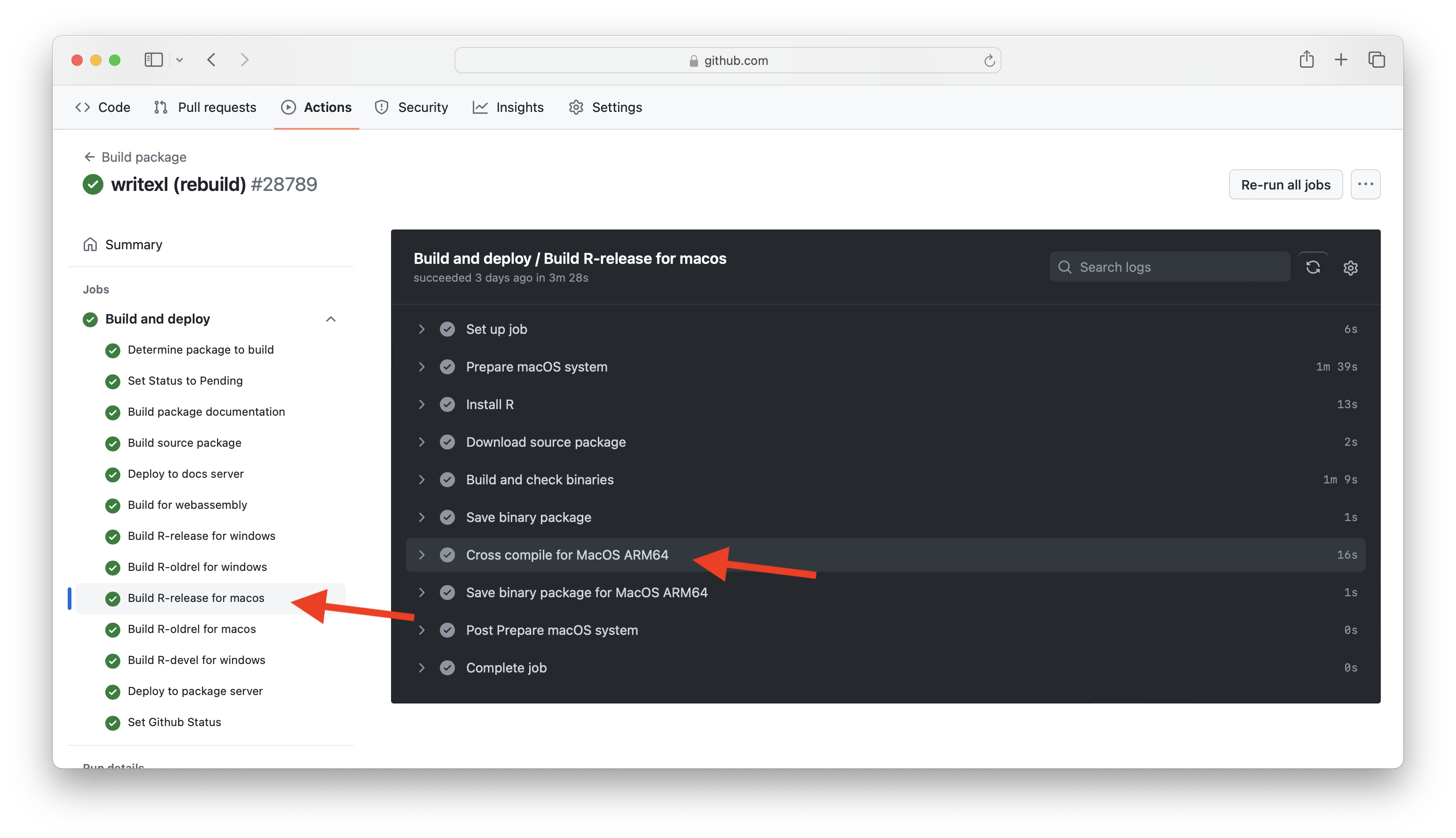 Screenshot of GitHub Actions output
