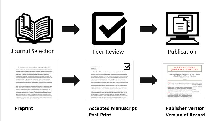 The different types of articles. Preprints, then Accepted Manuscript or Post-Print after Peer Review, then Publisher Version or Version of Record after Publication