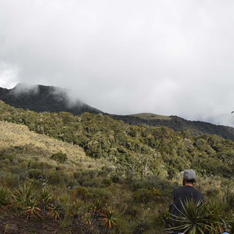 Avatar of Marc Burri
